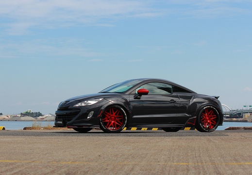 Macchina Peugeot RCZ GNOSIS CV202