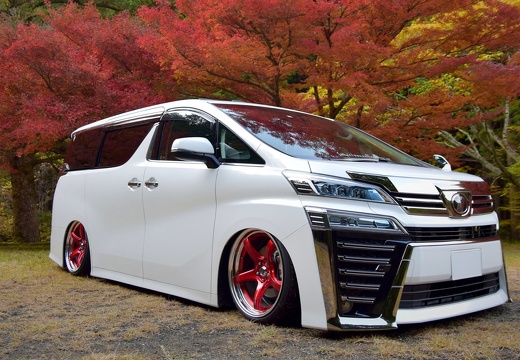 REFFECT VELLFIRE EMOTION T5R 2p