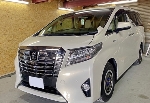 S-STYLE MOTOR WORX  ALPHARD  CRAG T-GRABIC