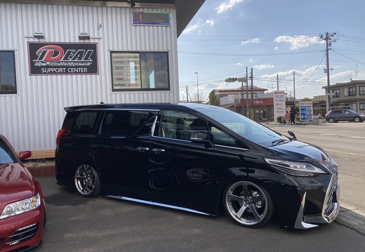 T☆SELECTION WAVE TOYOTA ALPHARD BACK LABEL ZEAST BST2