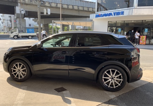 美沢タイヤ Peugeot 3008 GNOSIS GSR1