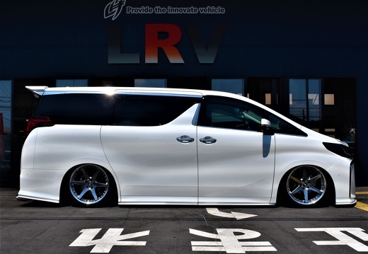 LEAD LRV TOYOTA ALPHARD BACK LABEL ZEAST BST1