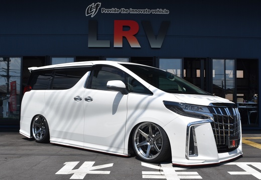 LEAD LRV TOYOTA ALPHARD BACK LABEL ZEAST BST1