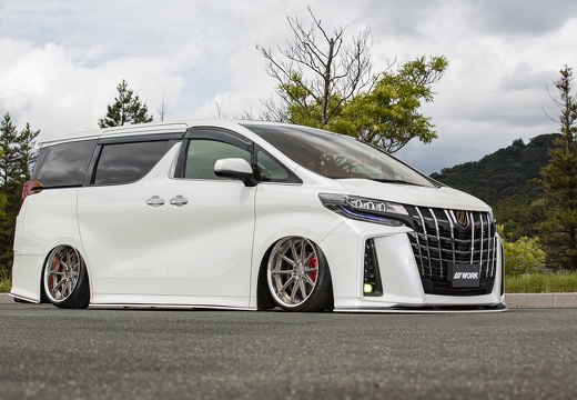 アマプリ工房 TOYOTA ALPHARD GNOSIS AE201