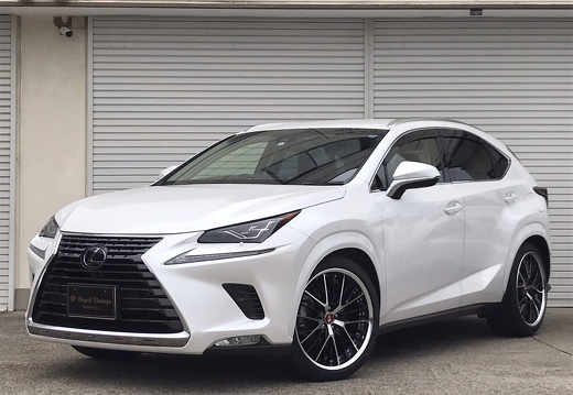 Royal vintage LEXUS NX SCHWERT SG2