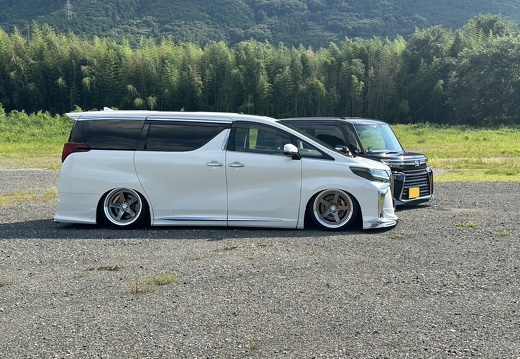 FATE TOYOTA ALPHARD WORK ZISTANCE W5S