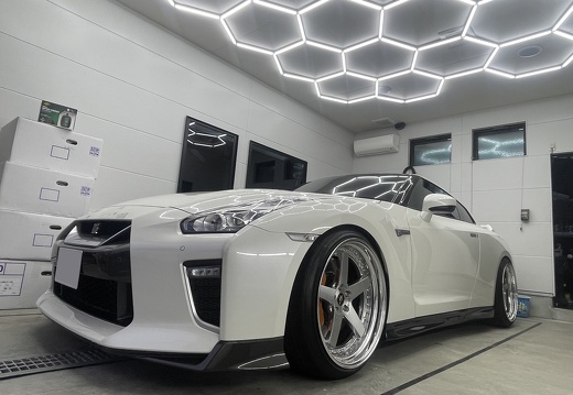ARTICAL NISSAN GT-R WORK ZISTANCE W5S