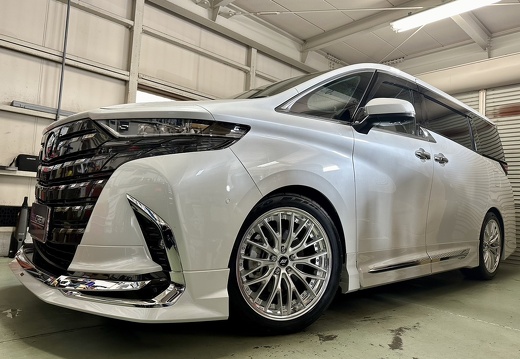 SS CREW TOYOTA ALPHARD ZEAST STX